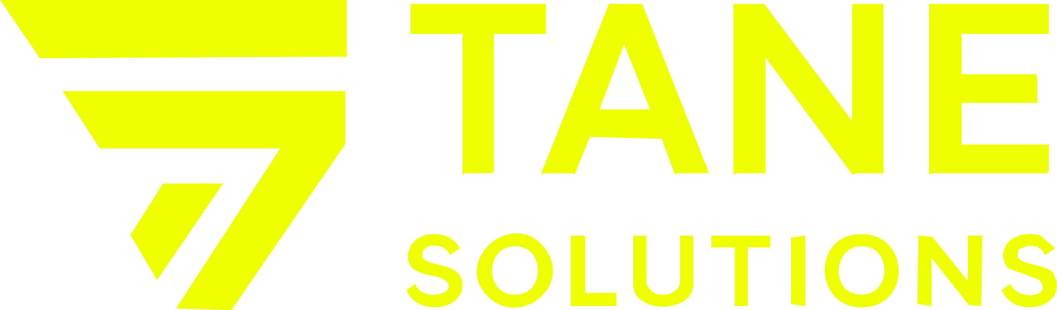 Tane Solution Logo